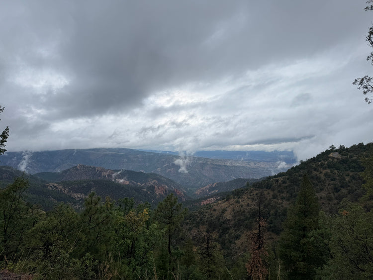 Gila Monsoon