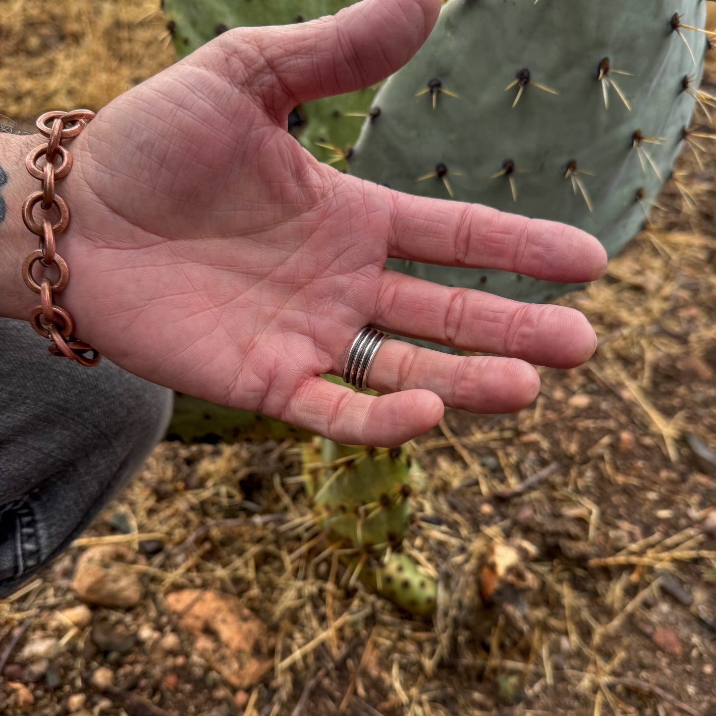 New Mexico Tyrone Turquoise Ring .925 (size 9.5)